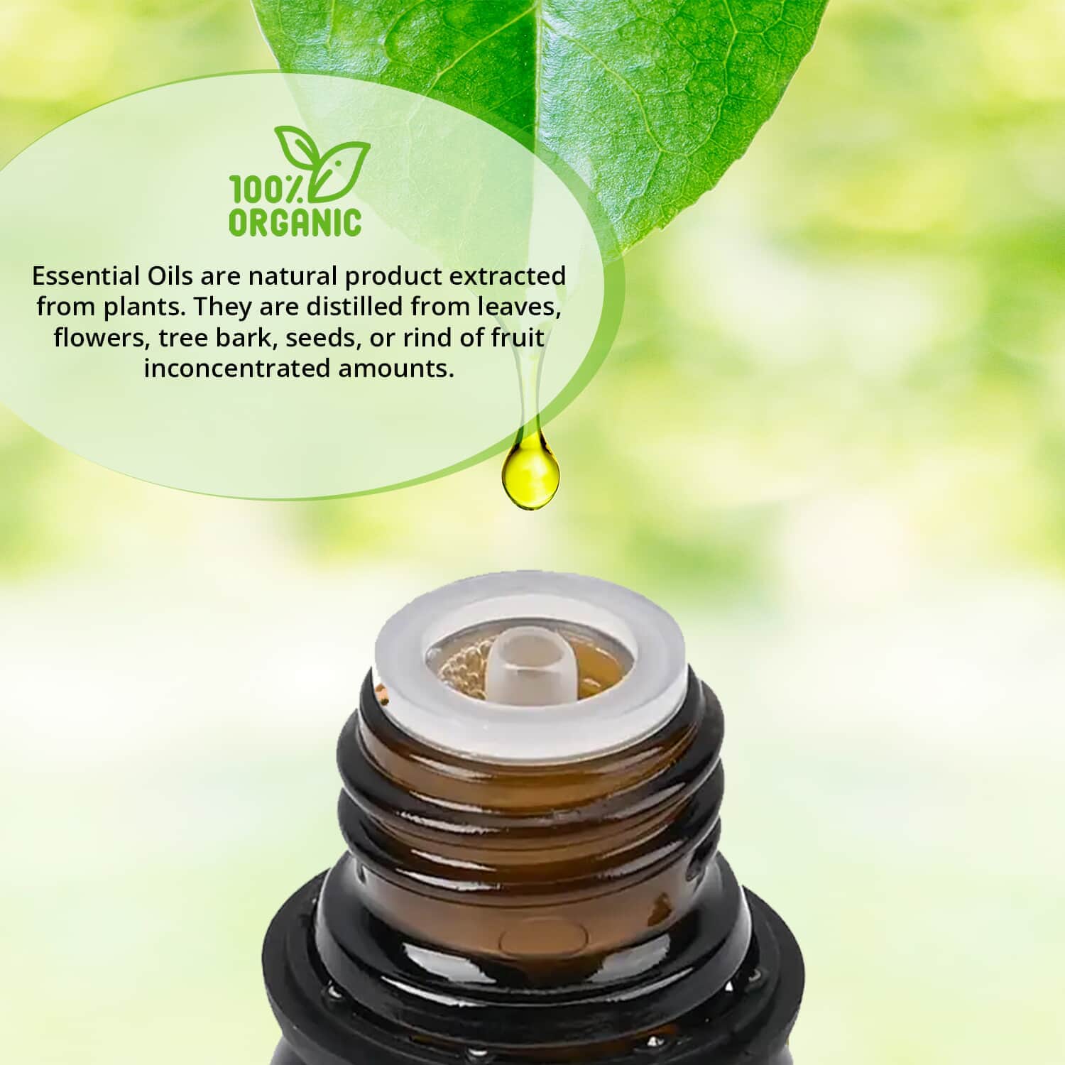 Blissful & Organic 18 Essential Oils Set - Image 5