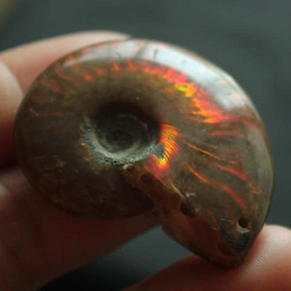 Call Of The Sea Necklace - Image 5