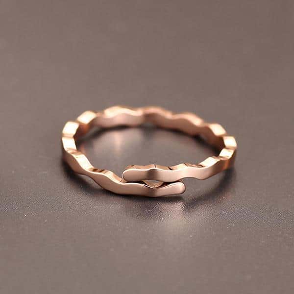 Lucky Zodiac Ring - Image 8