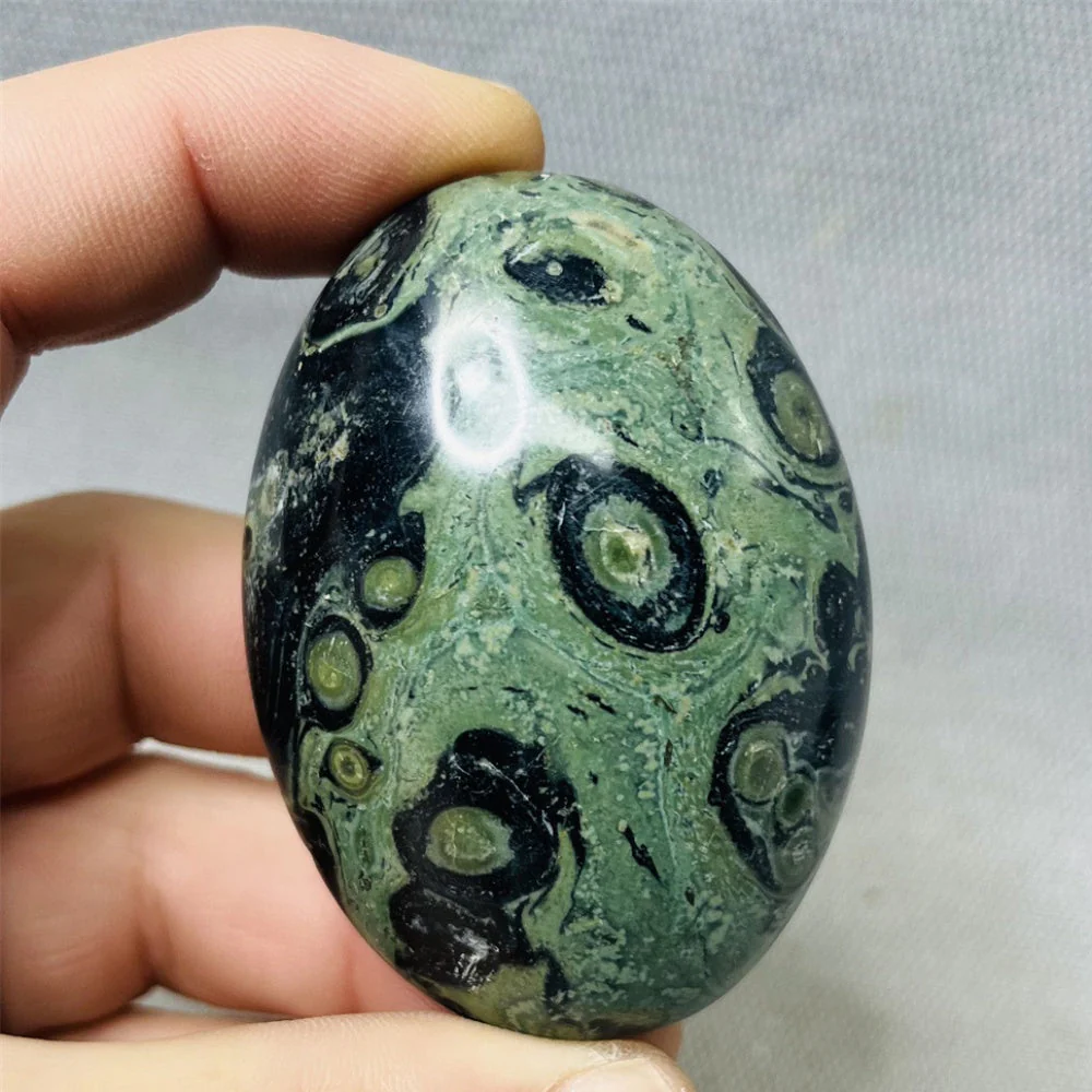 Peacock Eye Palm Stone - Image 5